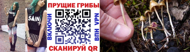 Псилоцибиновые грибы GOLDEN TEACHER  mega вход  Оленегорск 